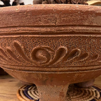 Terra Cotta Planter